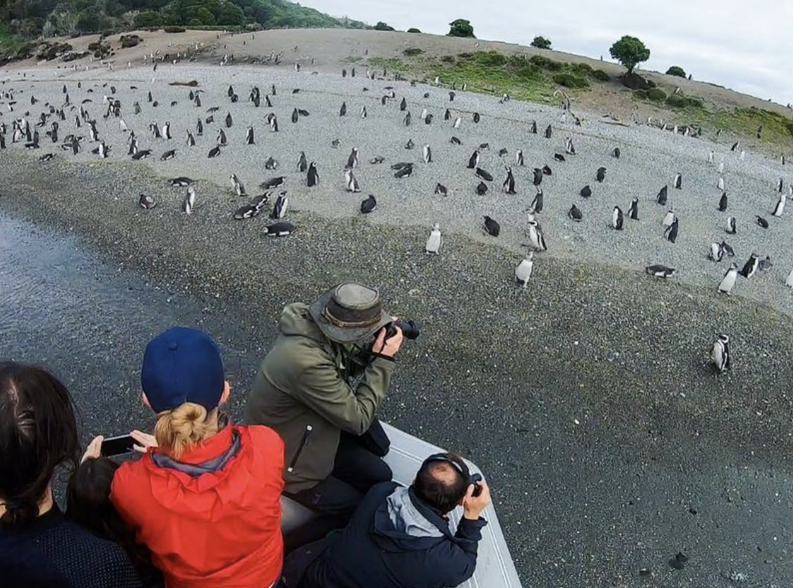 best time to visit patagonia